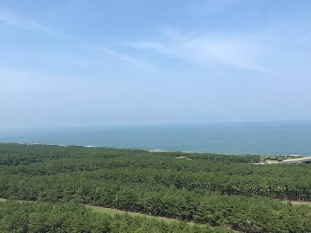 シェラトン 宮崎