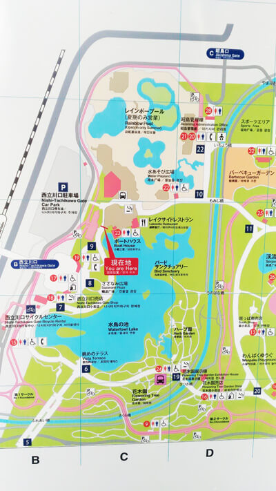 700昭和記念公園_プール_画像1_プール地図